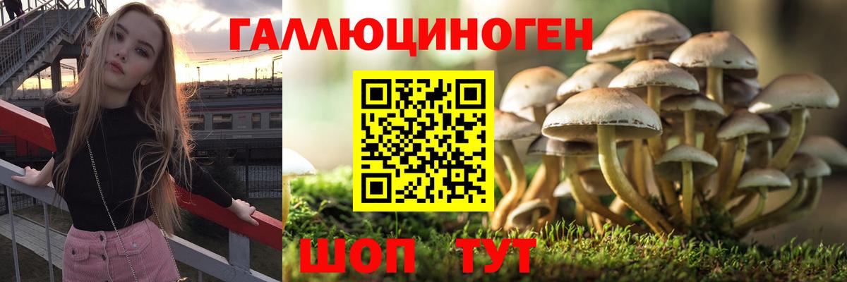 Галлюциногенные грибы MAGIC MUSHROOMS  как найти   Камышин  Галлюциногенные грибы ЛСД  Вход с VPN 