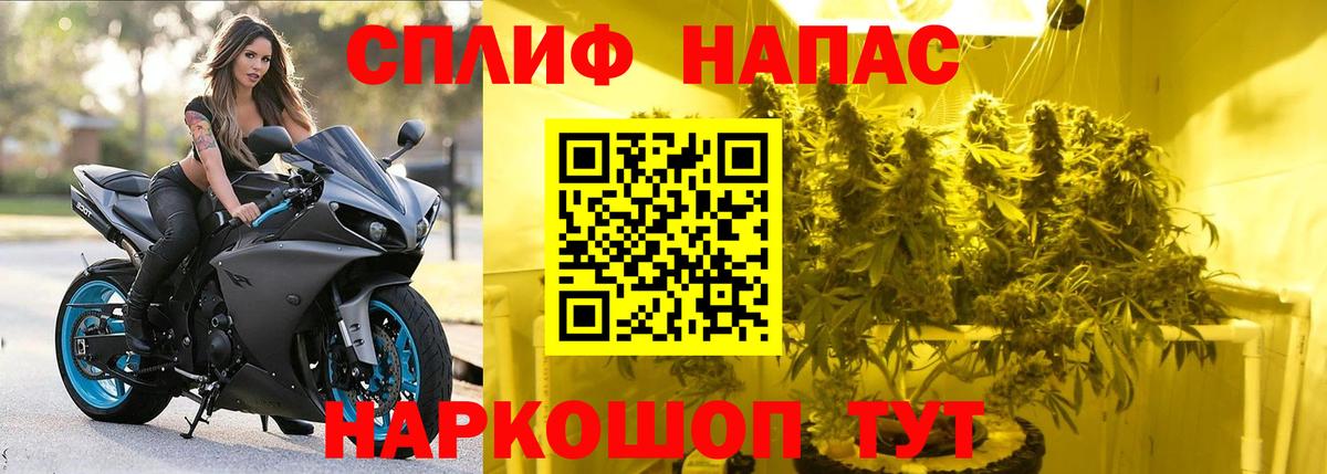Шишки марихуана VHQ  Каннабис THC 21%  Вход с VPN  МАРИХУАНА марихуана  МАРИХУАНА Bruce Banner  Камышин 